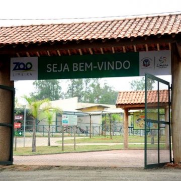 Servidora mordida por anta no zoo de Limeira pede indenização