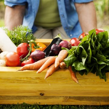 Prefeitura de Limeira abre licitação para merenda com alimentos da agricultura familiar