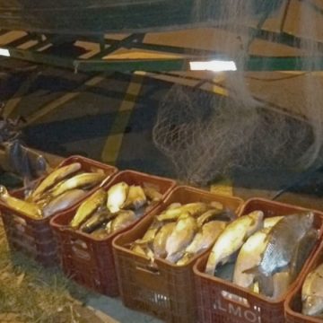 PM Ambiental surpreende pesca ilegal de 200 quilos de peixe no Rio Piracicaba