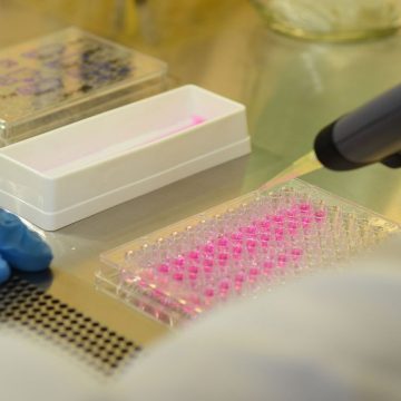 Vai mudar: condenados por crimes sexuais terão extração obrigatória de DNA
