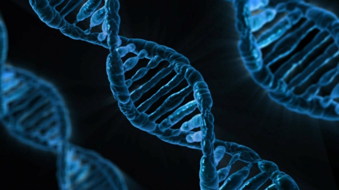 Dúvida sobre DNA de homem enterrado com familiares justifica nova perícia em investigação de paternidade