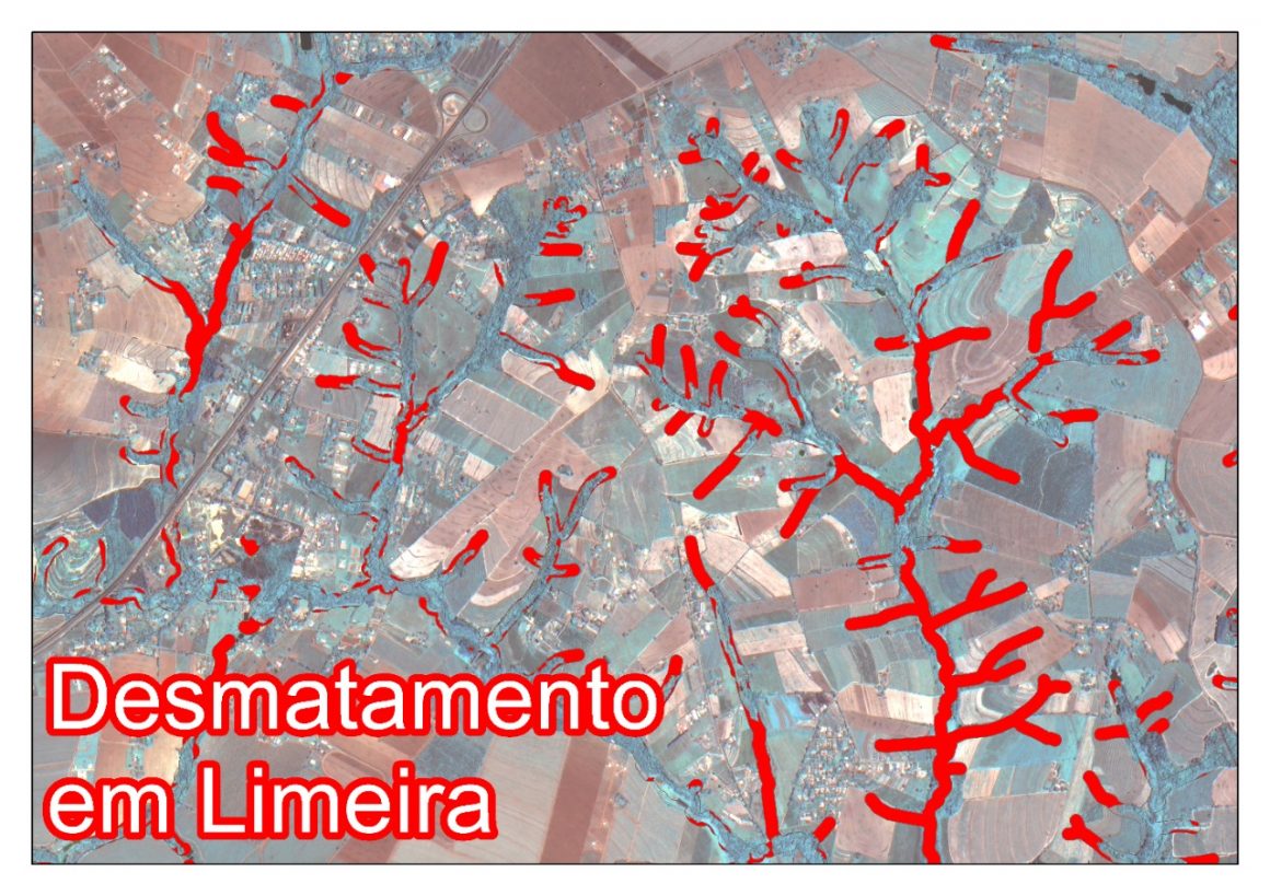Desmatamento em Limeira: análise e desafios