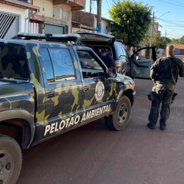Promotoria denuncia pai e filho por tentativa de homicídio em Cordeirópolis