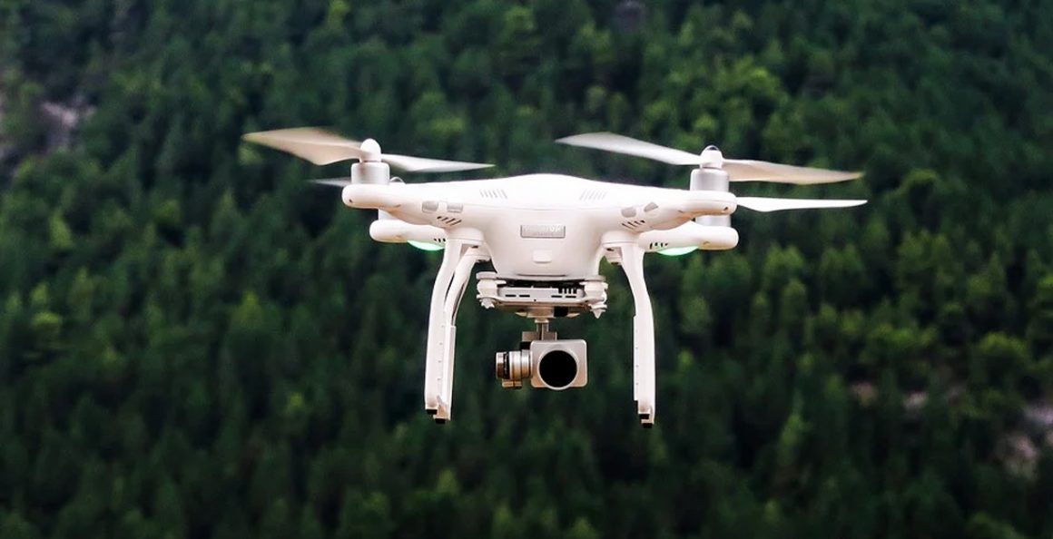Vereadores querem drones e multa para combater abandono de animais em Limeira