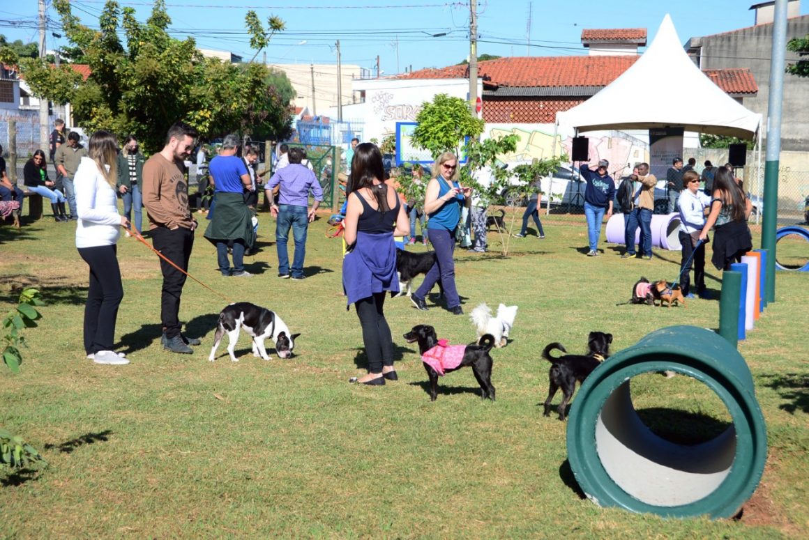 Vereadora pede “cachorródromo” em três espaços públicos de Limeira