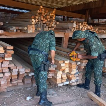 Depósito e comércio de madeiras sem documentos rendem autuação de R$ 12 mil em Limeira