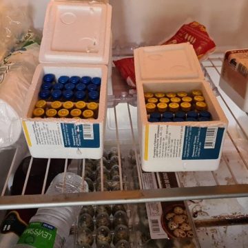 Vigilância de Limeira deve multar donos de canil clandestino por vacinas irregulares