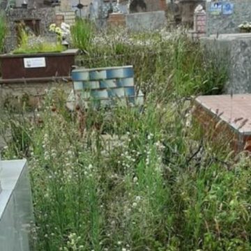 Cemitério Saudade tem mais de mil túmulos em estado de abandono em Limeira