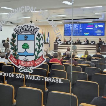 Vereadores de Limeira votam leis para Banco de Cabelos e proibição de homenagem a condenados