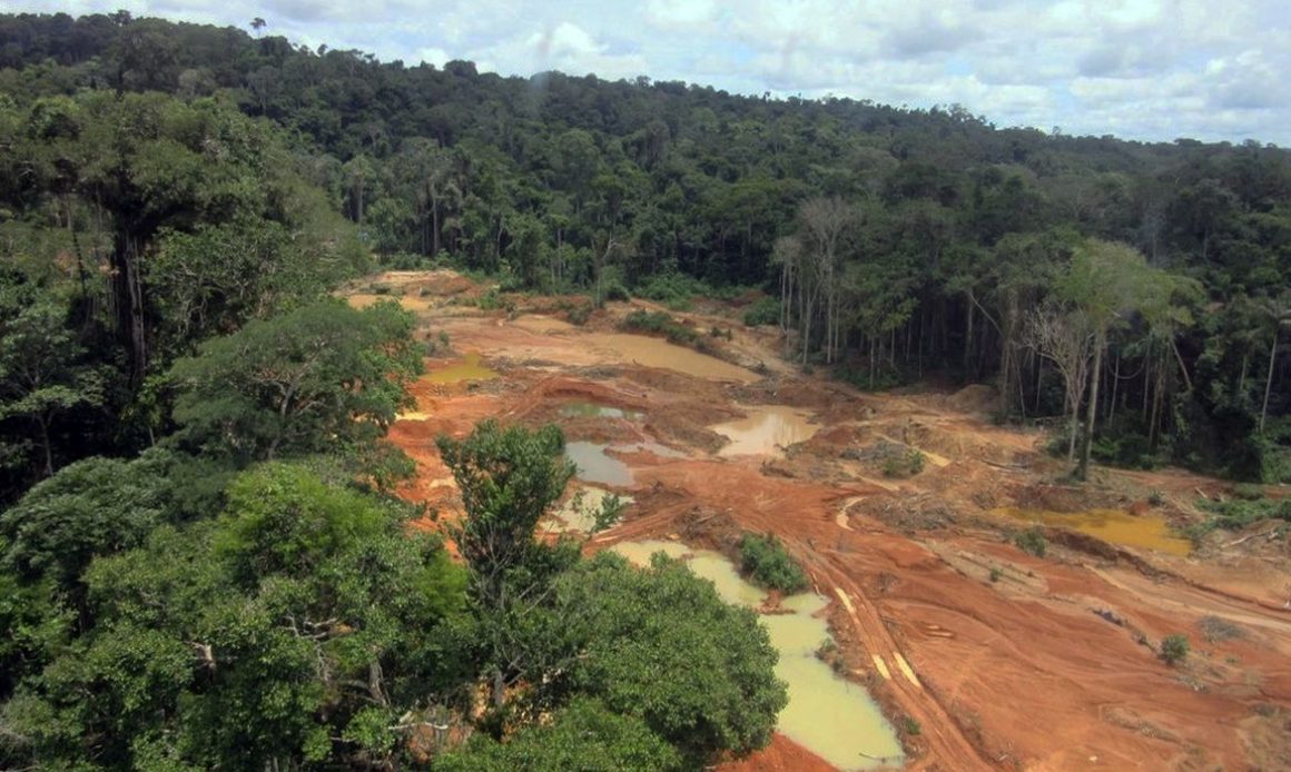 Conexão Amazônica: como Limeira integra rede de crimes que abalam a maior floresta tropical