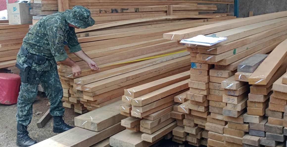Venda irregular de madeira nativa em Limeira rende multa de R$ 163 mil