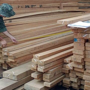 Venda irregular de madeira nativa em Limeira rende multa de R$ 163 mil