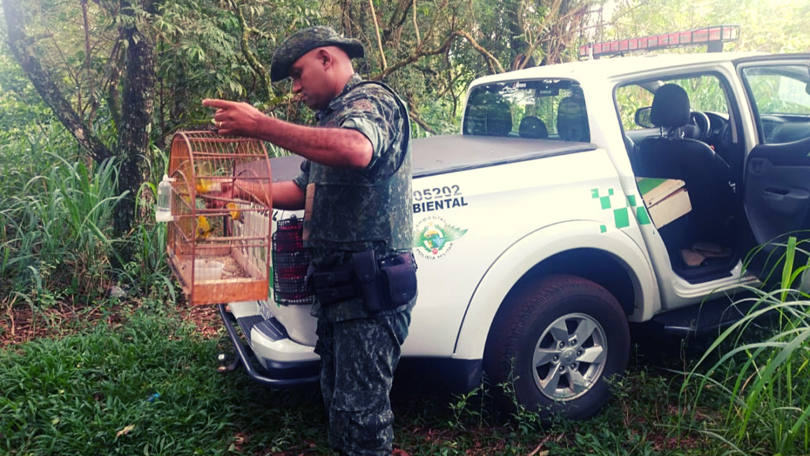 Limeirense é multado em R$ 2 mil por manter aves em cativeiro
