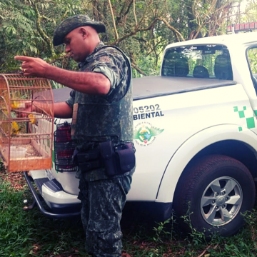 Limeirense é multado em R$ 2 mil por manter aves em cativeiro