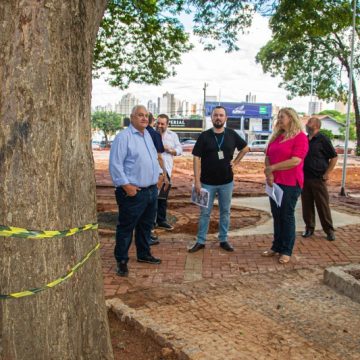 Retirada manual de árvores pode atrasar reforma de praça na Buzolin em Limeira