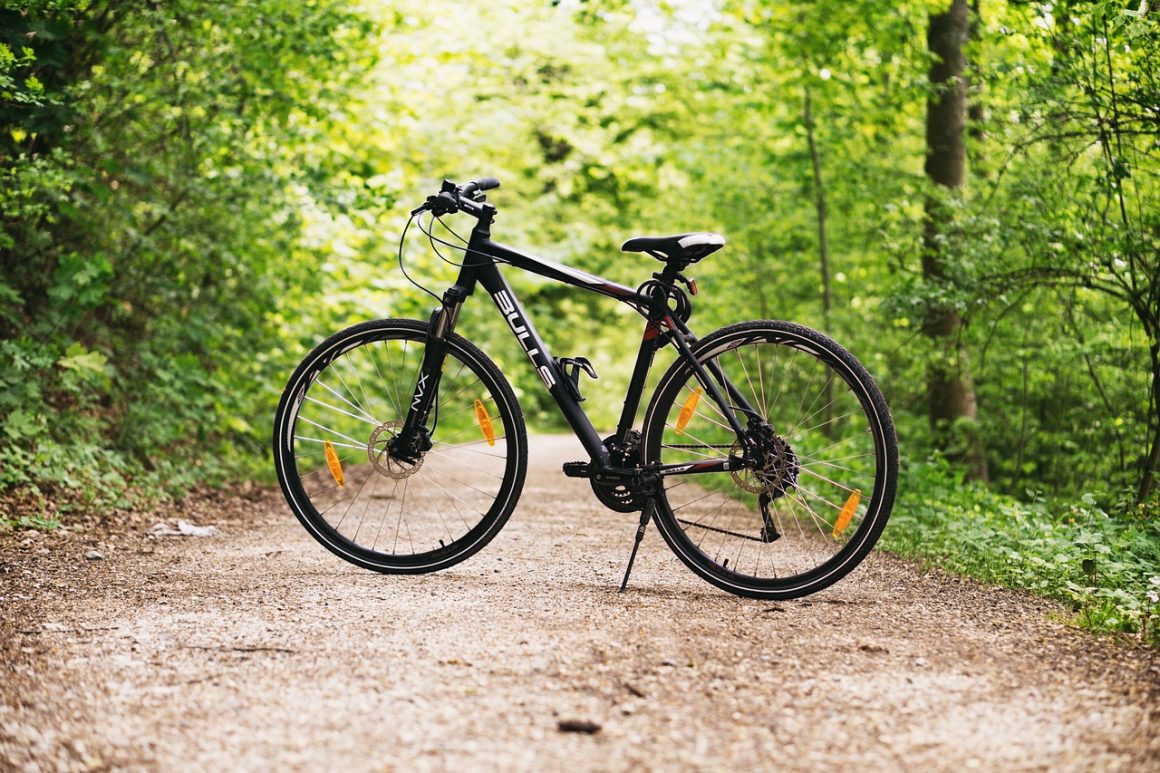 Câmara de Limeira aprova projeto que incentiva uso da bicicleta para turismo