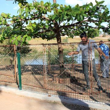 Prefeitura de Limeira inicia manejo de capivaras em parque para identificar febre maculosa