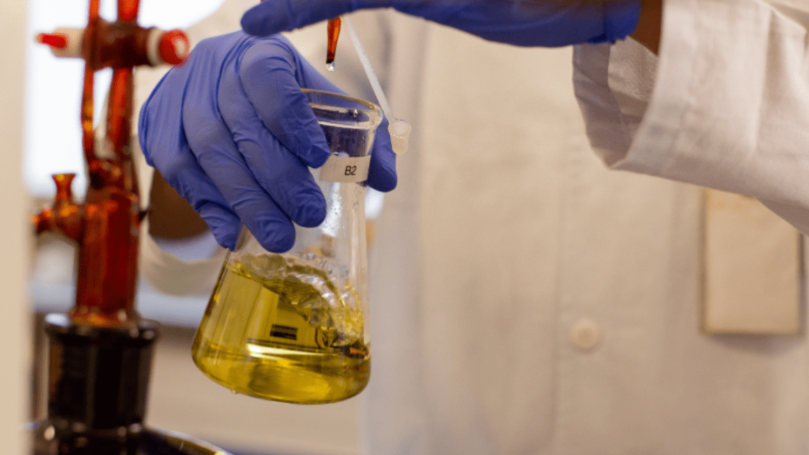 BRK atesta eficiência no tratamento de esgoto de Limeira com mais de 16 mil análises laboratoriais