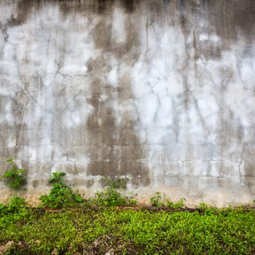 Limeirense acusa vizinha de usar seu muro e causar infiltração